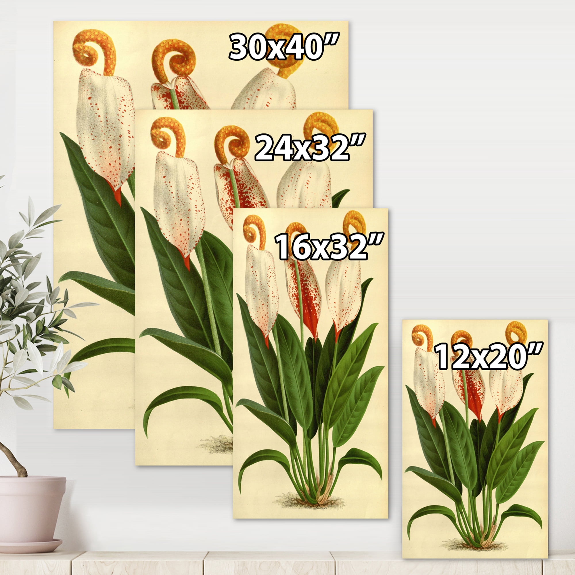 Designart ' Retro Wildflowers ' Farmhouse Canvas Wall Art Print