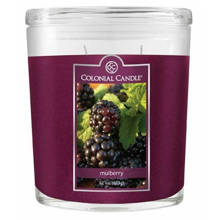 Fragranced in-line Container CC022.445 22oz. Oval Mulberry Candles - Pack of 2