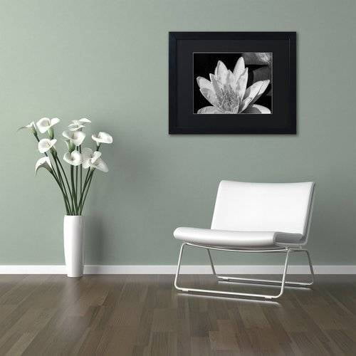 Trademark Fine Art "Water Lily in Black and White" Canvas Art by Kurt Shaffer, Black Matte, Black Frame