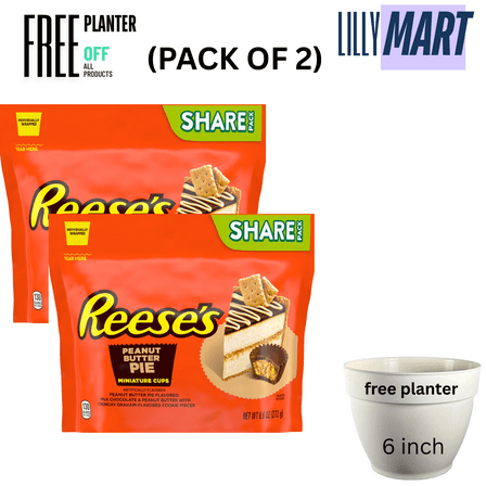 REESE'S Miniatures Peanut Butter Pie Flavored Peanut Butter Cups Candy Share Pack, 9.6 oz (pack of 2)
