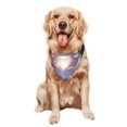 thumbnail image 5 of Naloa Dreamy Forest Elf Dog Bandanas 1PC Washable Triangle Dog Scarfs Premium Durable Fabric, for Small Medium Large Dogs and Cats, 5 of 6