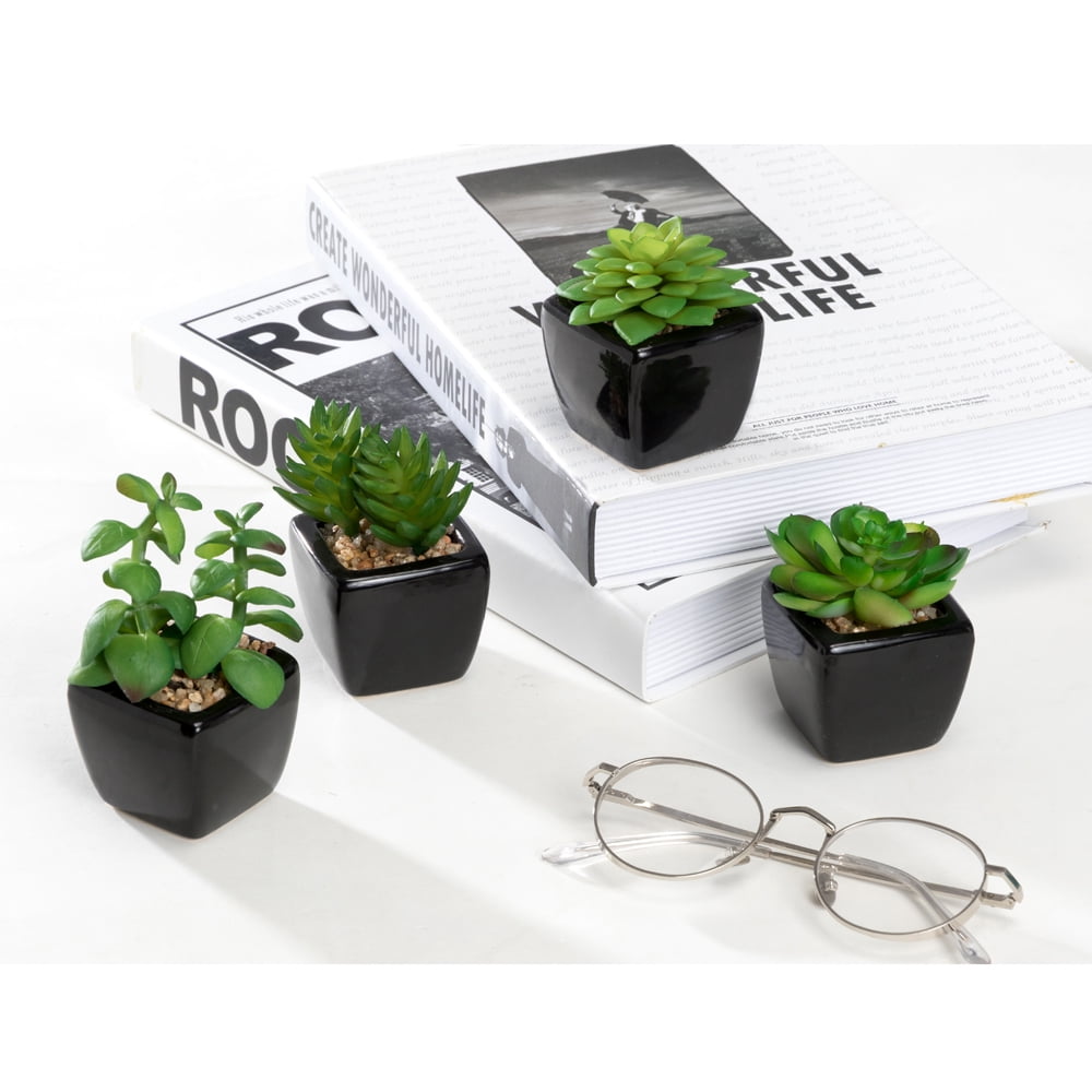 K-Cliffs Set of 4 Mini Artificial Succulents Potted in Cube-Shape Black Ceramic Pots , Dimensions(in inches):  11.0L x 3.0W x 4.3H"