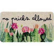 Spring Summer Door Mat 30 X 17 Inch No Picks Allowed Cactus Doormat Indoor Outdoor Entrance Funny Floor Mat Non Slip Summer Decor Rubber Welcome Mats