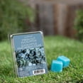 thumbnail image 2 of ScentSationals, Scented Wax Cubes - Fresh Cut Eucalyptus, 2 of 6