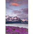 thumbnail image 4 of Don Paulson 17x24 Black Modern Wood Framed Wall Art Titled - AK, Alsek River and Fairweather Range at sunset, 4 of 6