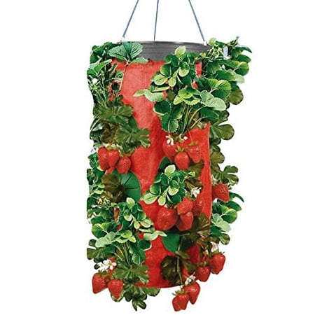Upside Down Vertical Strawberry & Herb Gardening Grow Bag Planter - Organic Watering System - As Seen On TV - Perfect For Tomatoes, Vegetables &