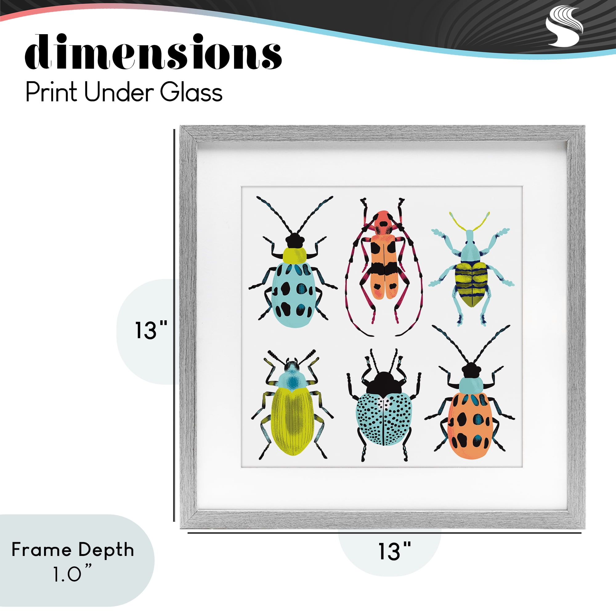 Stupell Industries Beetles & Bugs Collection Gray Framed Print Under Glass, design by Metka Hiti