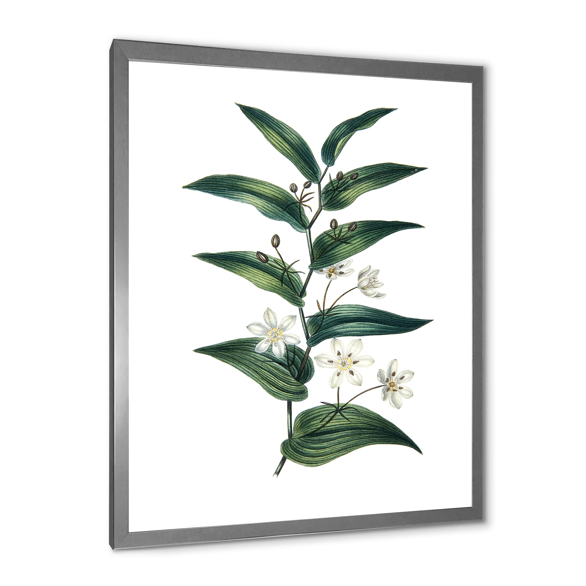 Designart 'Little White Flowers With Ancient Plant' Farmhouse Framed Art Print