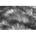 thumbnail image 2 of Jones, Adam 24x17 White Modern Wood Framed Museum Art Print Titled - Paramo grass-Antisana Ecological Reserve-Ecuador, 2 of 4