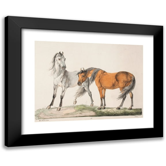 Christian David Gebauer 14x11 Black Modern Framed Museum Art Print Titled - Horses EandG (1821 - 1822)
