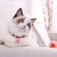 thumbnail image 2 of Collier pour Chat Fournitures Collier Cloche pour Chat avec Chaîne d'Extension Attache Collier en Nylon Accessoire de Toilettage avec Chaîne d'Extension Cloche pour Mariage (Rose), 2 of 8