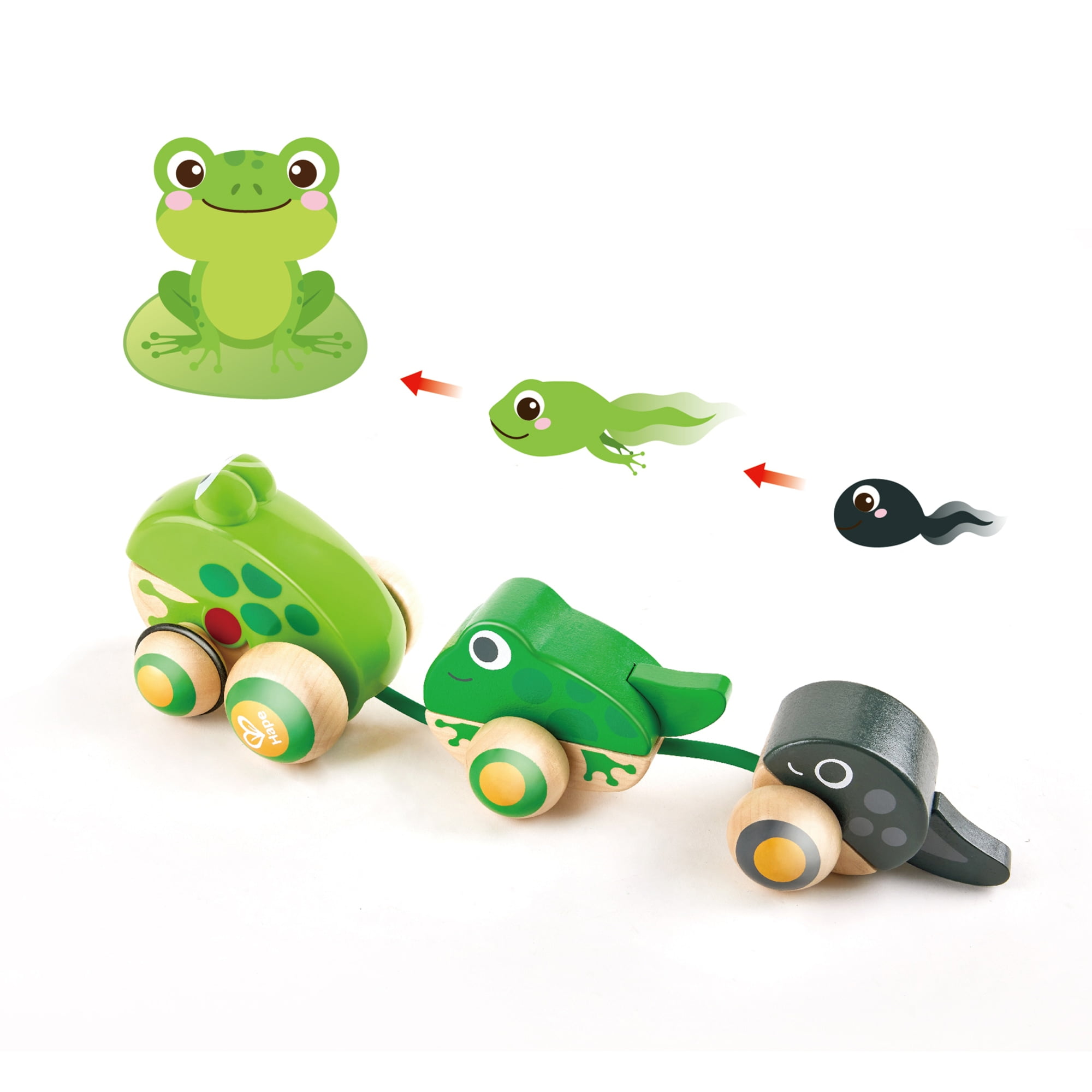 Hape Pull Along Frog Family Wooden Toddler Toy Walmart
