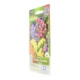 thumbnail image 2 of Pack De 3 Semillas Statice Sinuata Variada Víta 0.5 G, 2 of 3