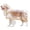 Orange, variant on Dog Raincoat, Dog Jacket Hooded Slicker Poncho, Transparent Water Proof Resistant Rain Snow Pet Clothes for Small Medium Large Dogs Pink L