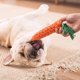 thumbnail image 5 of 10 juegos de juguetes para perros, juguetes para masticar duraderos e indestructibles, 5 of 5