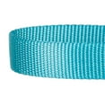 thumbnail image 4 of Blueberry Pet Classic Nylon Dog Collar, Turquoise, Medium, 4 of 5