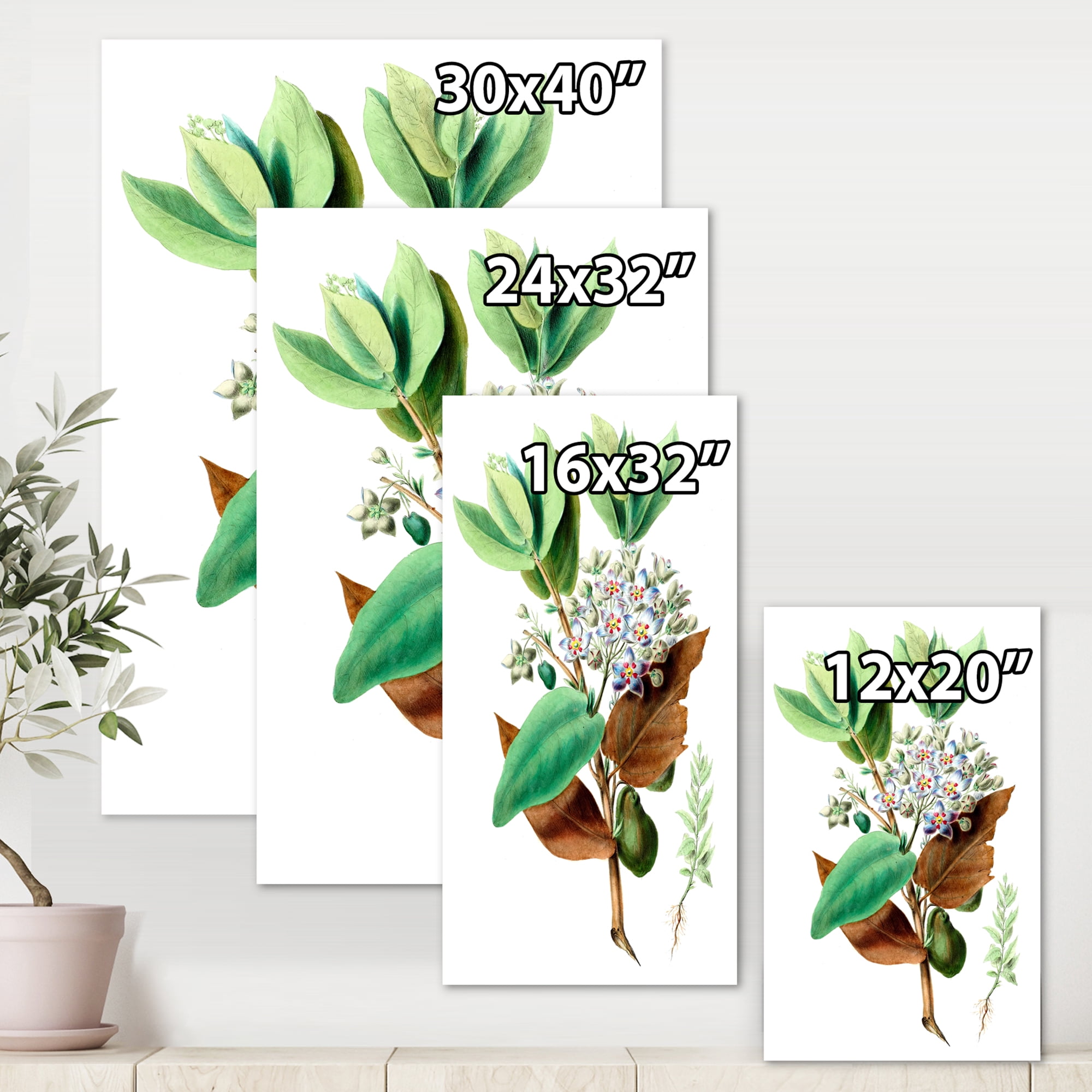 Designart ' Ancient Plant Life XXVIII ' Traditional Canvas Wall Art Print