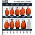 thumbnail image 6 of Triangle Eye Star Symbolic Spirit Unisex Plus Size Hoodie Brisco Brands 2X, 6 of 6