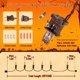 thumbnail image 3 of Cadena de luces navideñas YOUNGAR, naranja, 13 pies y 50 miniluces, 3 of 7