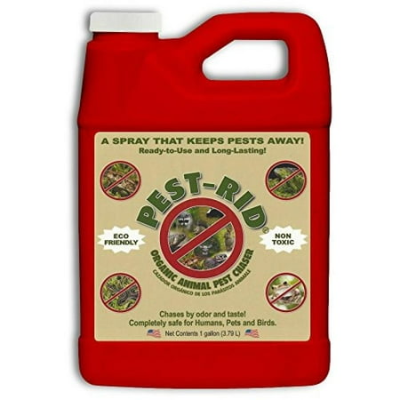 Pest Rid Ready to Use Pest Control Refill Pack  1-Gallon