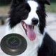 thumbnail image 3 of Disco para perros de 23 cm, mejor vuelo, resistente a pinchazos, Frisbee para perros, no es un juguete de grado de competencia, entrenamiento con disco volador al aire libre Xemadio 2035152-1, 3 of 8