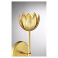 thumbnail image 6 of Trade Winds Primrose 1-Light LED Wall Sconce in True Gold, 6 of 6