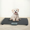 thumbnail image 6 of Redmon Digital Dog Scare for Large Pet & Animal with Non-Skid Mat, 225lb Capacity, 50 Pack, 6 of 7