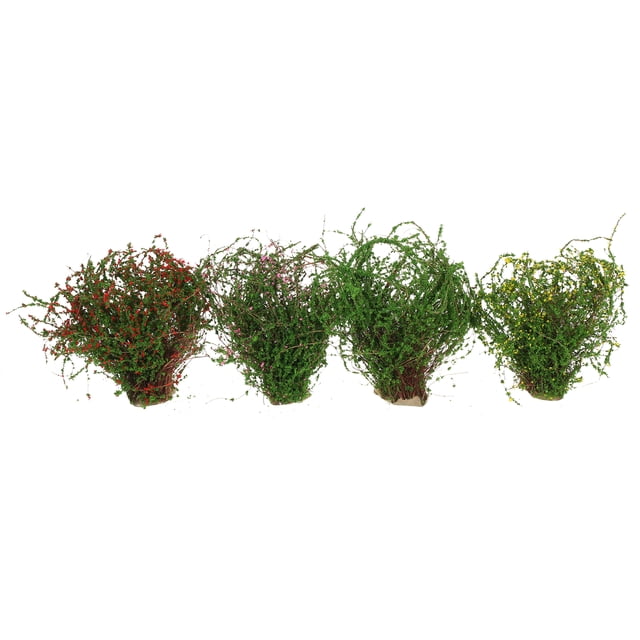 4 Pcs Scène Miniature Simulation Arbres pour Modèle Architectural Paysage Paysage Train Chemin de Fer Table de Sable Paysage