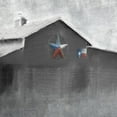 thumbnail image 2 of Kimberly, Allen 26x26 Black Ornate Wood Framed with Double Matting Museum Art Print Titled - Star Barn, 2 of 4