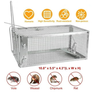 YouLoveIt Rat Cage Traps Live Mouse Rat Traps Catch and Release