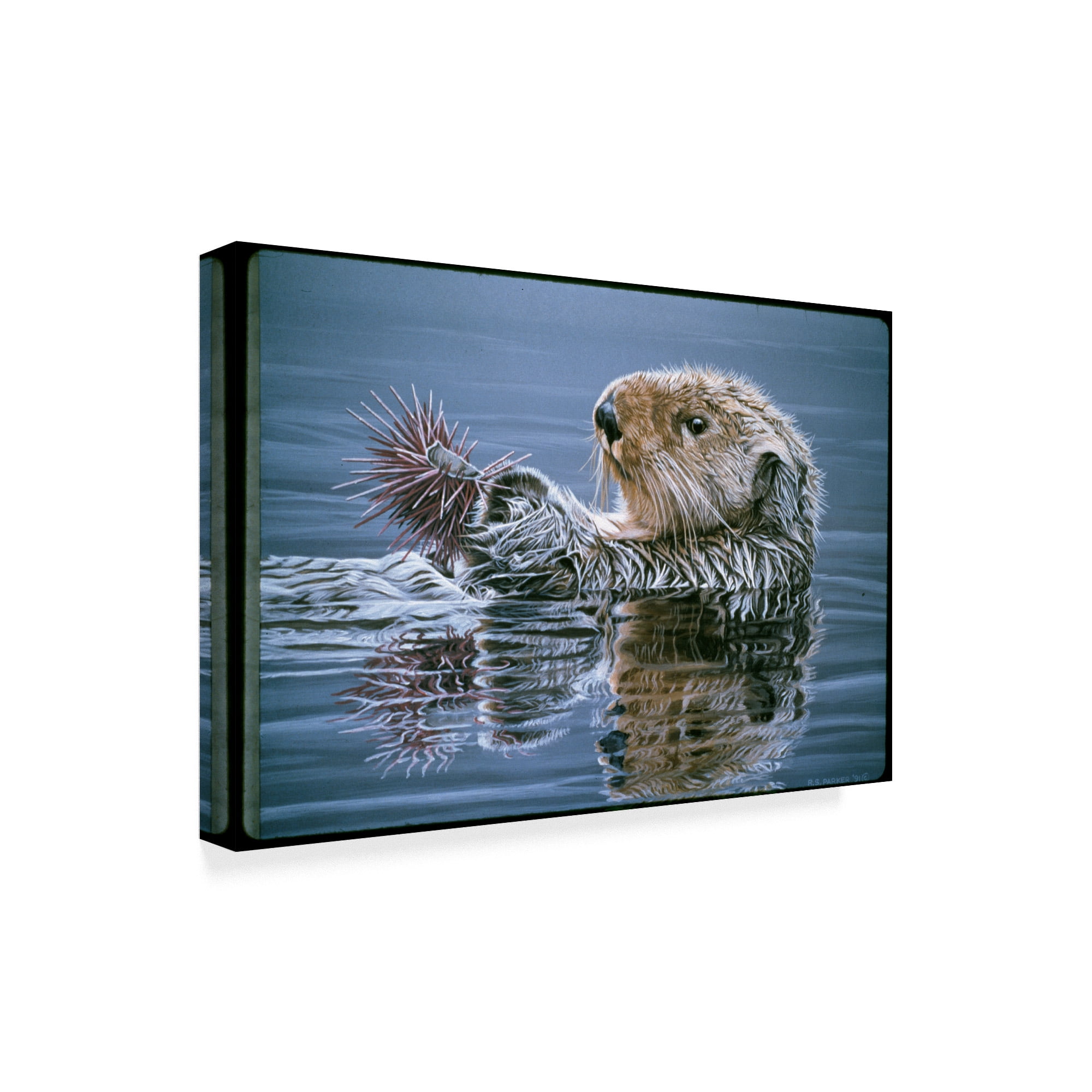 Trademark Fine Art 'Sea Otter With Urchin' Canvas Art by Ron Parker