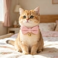 thumbnail image 6 of 2Pack Soft Corduroy Cat & Dog Collars with Bow Tie & Bell, Adjustable Breakaway Safety Collar for Small Pets, 6 of 8