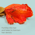 thumbnail image 5 of Hairitage Hair Tools Set: Ceramic Heated Blow Dryer Brush Straightener and Play It Cool Argan Oil Heat Protectant Spray, 5 of 10