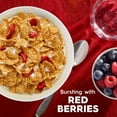 thumbnail image 2 of Kellogg's Special K Breakfast Cereal, Fiber Cereal, Family Breakfast, Family Size, Red Berries, 15.6oz Box (Pack of 2), 2 of 5