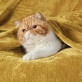 thumbnail image 5 of Cozy Comfort Mustard Yellow Fleece Blanket Queen Blanket - Lightweight Super Soft Cozy Blanket, 5 of 7
