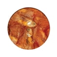 thumbnail image 3 of Roulades Catit Nibbly Wraps, Poulet et poisson, 30 g, 3 of 3