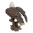 thumbnail image 2 of Hi-Line gift Ltd Statue Aigle Chauve sur Souche, 2 of 5
