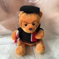 thumbnail image 5 of RV Oso de peluche con gafas - 18 cm, diploma y gorro de médico - Peluche para graduación, instituto o universidad Rojo Verde, 5 of 5