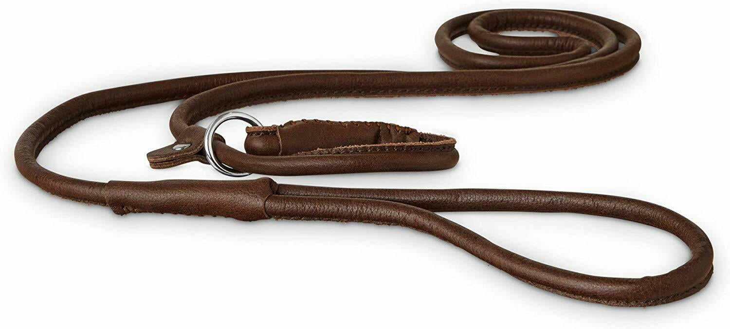 Good2Go Rolled Leather Dog Slip Leash, 5 ft.