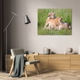 thumbnail image 3 of Susann Parker 32x23 Gallery Wrapped Canvas Wall Art Titled - Pride of a Lioness, 3 of 4