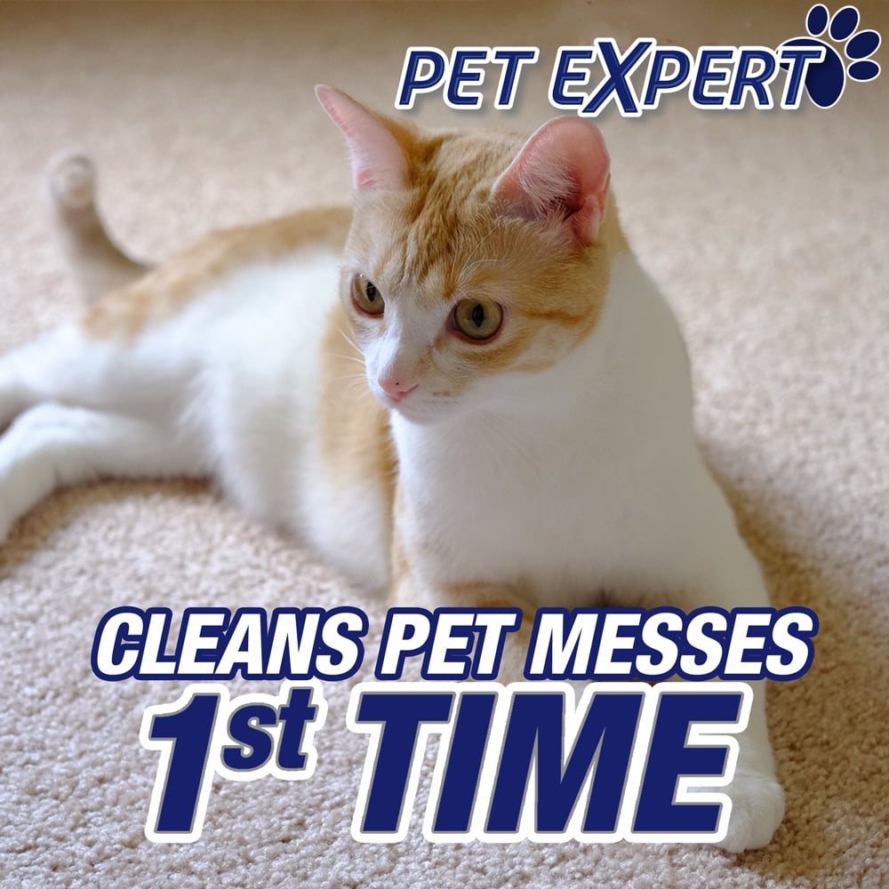 RESOLVE Carpet & Rug Cleaners, 18 Ounce
