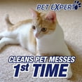 thumbnail image 4 of Resolve Pet Stain & Odor Carpet Cleaner Refill, 60 FL Oz Bottle (Pack of 2), 4 of 6