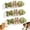 3pc, variant on 2026 New Upgraded Natural Dental Chew Sticks with Silvervine, Catnip & Gall Fruit, 3pc Cat Chew Toys, Edible Chews Toy Sticks for Indoor Pets