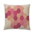 thumbnail image 1 of Ahgly Company Indoor Square Contemporary Throw Pillow, 18 inch by 18 inch, 1 of 5