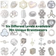 thumbnail image 2 of Puzzle Bepuzzled Coaster Hanayama, rompecabezas de metal, nivel 4, 2 of 5