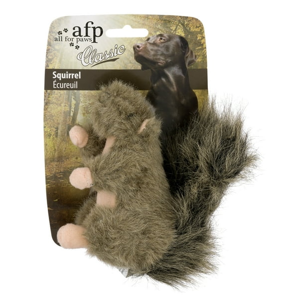 All For Paws Classic Squeaky Soft Squirrel Dog Toy