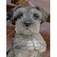 thumbnail image 2 of SCHNAUZER PUPPY PRAYING, 2 of 3