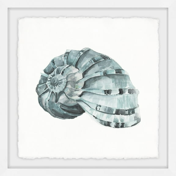 MARMONT HILL 'Classy Shell' Framed Painting Print 24 x 24