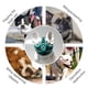 thumbnail image 5 of Bozales para perros de hocico corto: bozal ajustable de malla transpirable para bulldog, para morder, masticar, ladrar (verde), 5 of 6