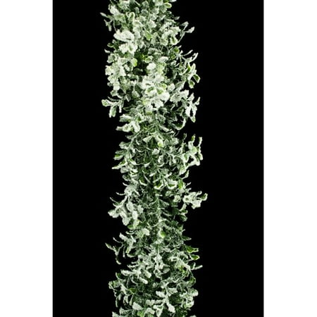 Boxwood Garland - Queens of Christmas Boxwood Flocked Garland